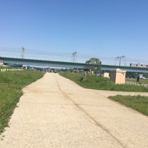 多摩川30kmモニターランで熱中症発症、激しく寝込む