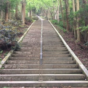 【保存版】熊本ランニングトレーニングスポット3選